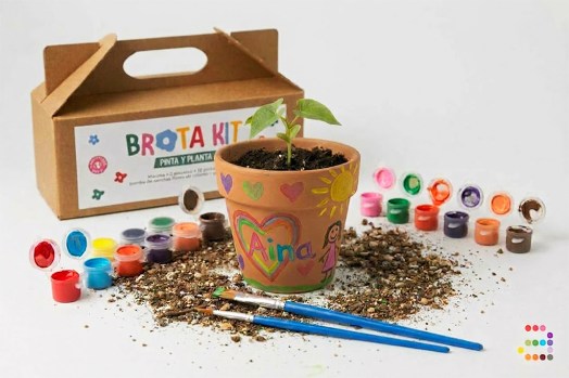 BrotaKit: Pinta i Planta! Brota Kit ejemplos Aina